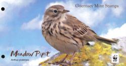 2017 Endangered Species (12th series), Meadow Pipit Pack