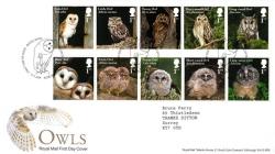 2018 Owls