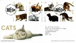 2022 Cats (Addressed)