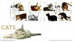 2022 Cats (Unaddressed)