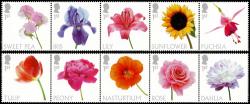 2023 Flowers