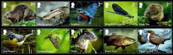 2023 River Wildlife