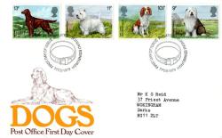 1979 Dogs (Addressed)