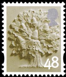 SGEN12 48p Oak Tree