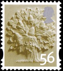 SGEN14 56p Oak Tree