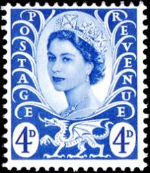 SG W8 Blue