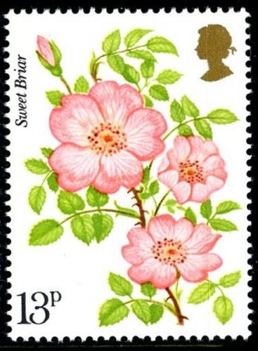 1976 Roses 13p