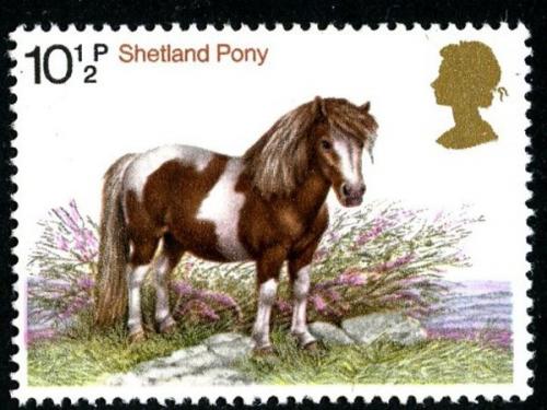 1978 Horses 10½p