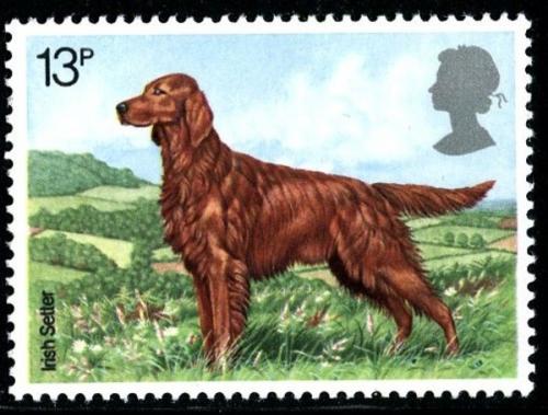 1979 Dogs 13p