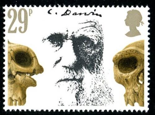 1982 Charles Darwin 29p
