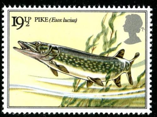 1983 Fishes 19½p