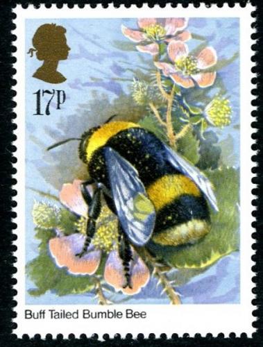 1985 Insects 17p