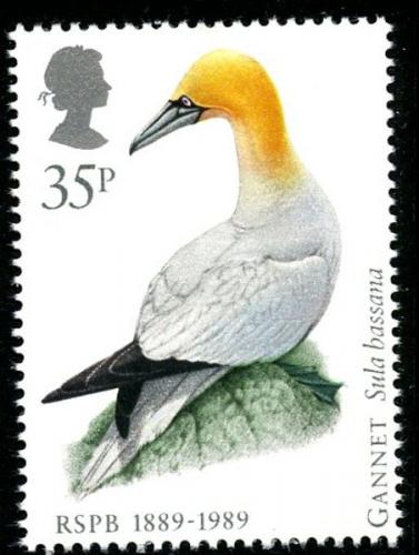 1989 Birds 27p