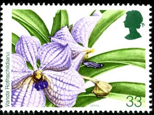 1993 Orchids 33p