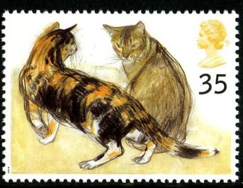 1995 Cats 35p