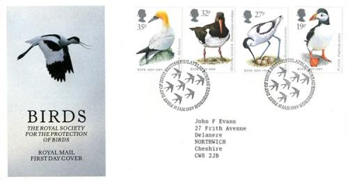 1989 Birds (Addressed)