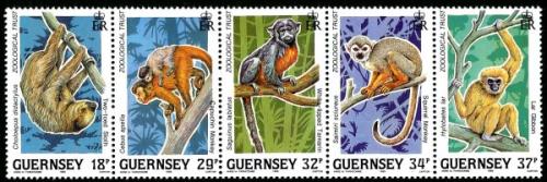 1989 Zoological Trust