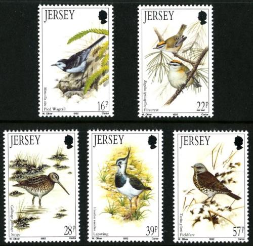 1992 Winter Birds