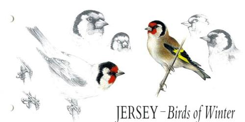 1992 Winter Birds pack