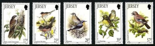 1993 Summer Birds