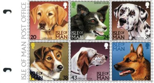1996 Dogs pack