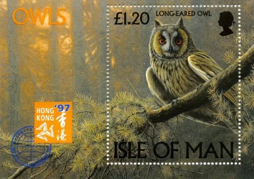 1997 Owls MS