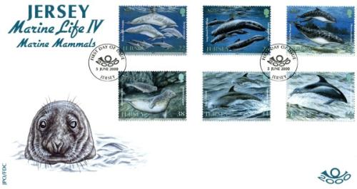 2000 Marine Mammals