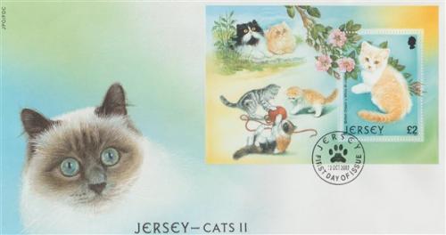 2002 Cat Club MS