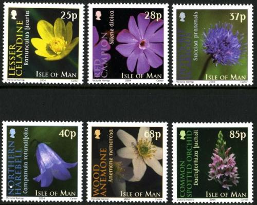 2004 Wild Flowers