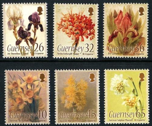 2005 William Caparne Birth Centenary (Artist and Iris Breeder), Watercolour Paintings
