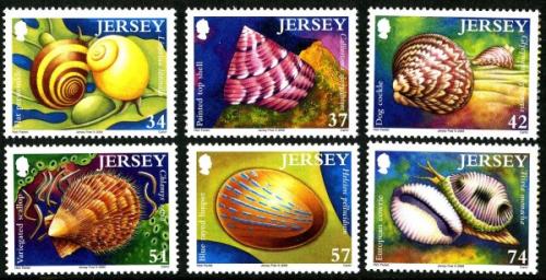 2006 Marine Life (6th series), Sea Shells