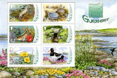 2006 L'Erée Wetland Designation as a Ramsar Site MS