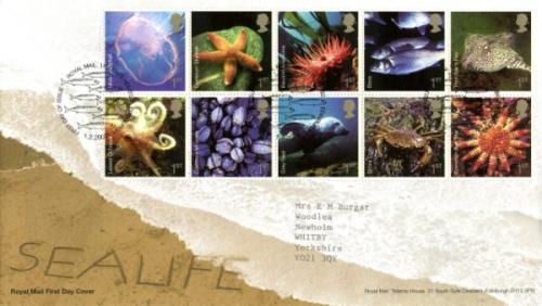 2007 Sea Life (Addressed)