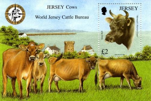 2008 Jersey Cattle Bureau MS