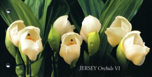 2008 Orchids pack
