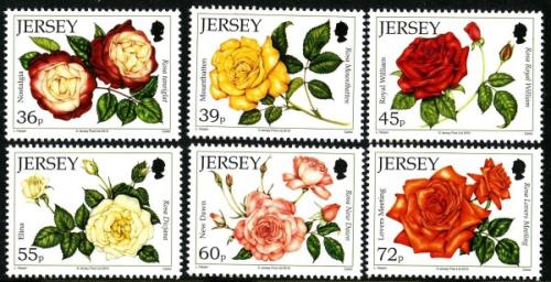2010 Roses