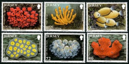 2011 Marine Life (9th series), Sea Squirts and Sponges