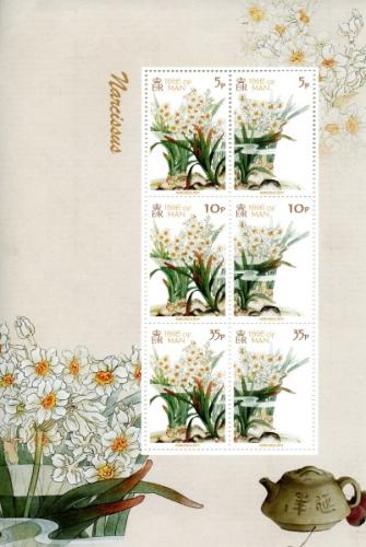 2011 Narcissus MS