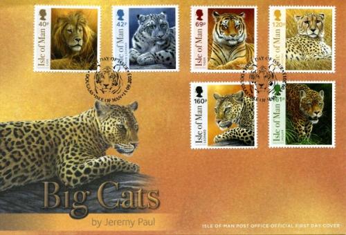 2013 Big Cats