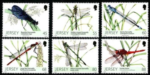 2013 Dragonflies and Damselflies