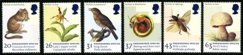 1998 Endangered Species