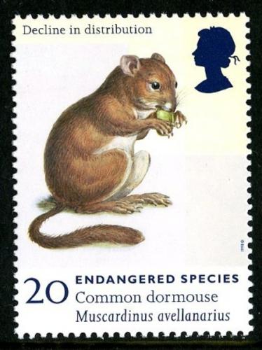 1998 Endangered Species 20p