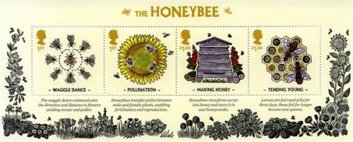 2015 Honey Bee MS