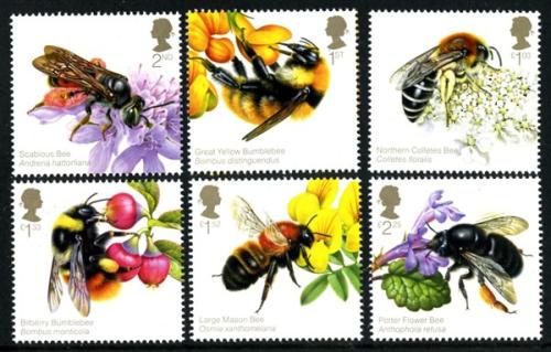 2015 Honey Bees