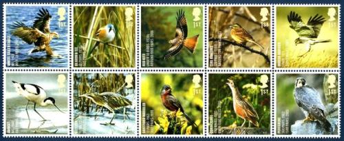 2007 Action for Species (1st series), Birds
