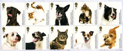 2010 Battersea Cats & Dogs Home