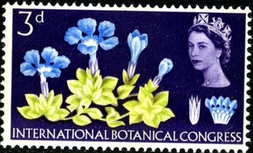 1964 Botanical 3d phos