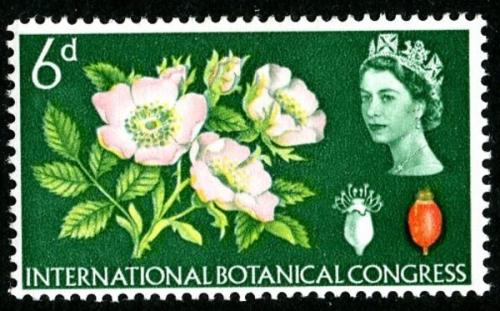 1964 Botanical 6d