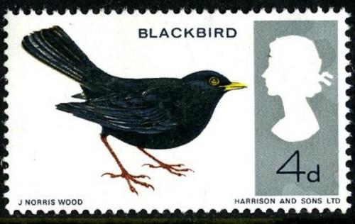1966 Birds 4d