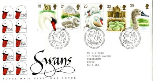 1993 Swans (Addressed)
